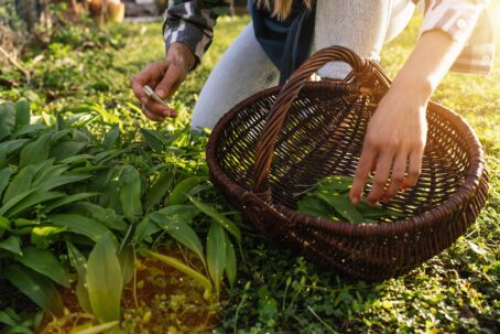 Onverwachte tuinplanten om van te smullen